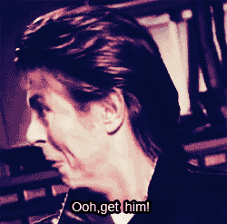 David Bowie GIF. Artiesten Tv Gifs David bowie 