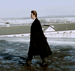 David Bowie GIF. Artiesten Tv Gifs David bowie 
