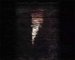 David Bowie GIF. Artiesten Tv Gifs David bowie 
