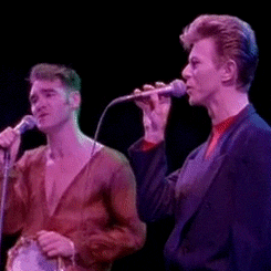 David Bowie GIF. Artiesten Dave Gifs David bowie 