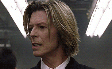Muziek Artiesten Gifs David bowie 