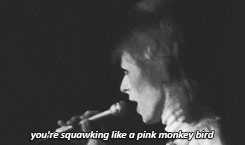 David Bowie GIF. Beroemdheden Artiesten Heroes Gifs David bowie Fotoset 