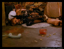 David Bowie GIF. Artiesten Zonnebril Gifs David bowie 90s 