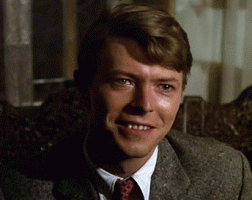David Bowie GIF. Artiesten Tv Gifs David bowie 