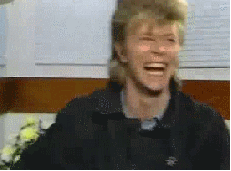 David Bowie GIF. Artiesten Tv Gifs David bowie 