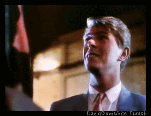 Boos Artiesten Gifs David bowie koekje raken woede 