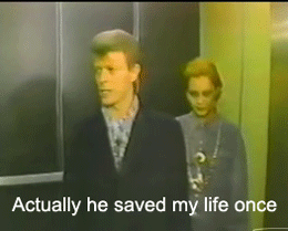 David Bowie GIF. Artiesten Roken Sigaret Gifs David bowie Lachend Giechelen 