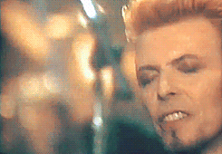 David Bowie GIF. Beroemdheden Artiesten Gifs David bowie De man die naar de aarde viel Thomas newton 