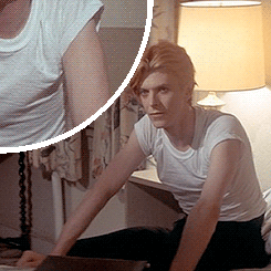 David Bowie GIF. Artiesten Mode Gifs David bowie 