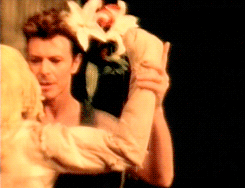 David Bowie GIF. Beroemdheden Artiesten Gifs David bowie De man die naar de aarde viel Seksuele frustratie Thomas newt 