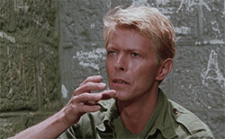 David Bowie GIF. Artiesten Tv Gifs David bowie 