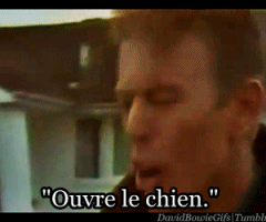 David Bowie GIF. Artiesten Tv Gifs David bowie 