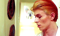 David Bowie GIF. Artiesten Gifs David bowie 