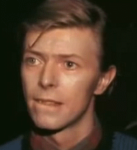 David Bowie GIF. Beroemdheden Artiesten Heroes Gifs David bowie Fotoset 