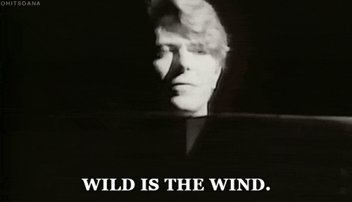 david-bowie-o08gVH.gif