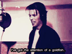 David Bowie GIF. Artiesten Dave Flirten Zonnebril Gifs David bowie 90s Swag 
