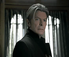 David Bowie GIF. Artiesten Gifs David bowie Rebel rebel Diamanten honden 