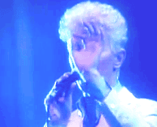 David Bowie GIF. Artiesten Tv Gifs David bowie Hahaha nee 