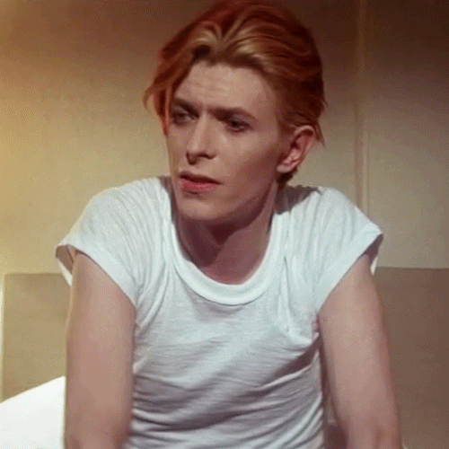 Artiesten Gifs David bowie muziekvideo blue jean 
