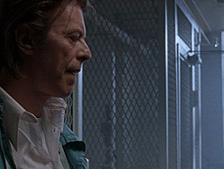 David Bowie GIF. Beroemdheden Artiesten Gifs David bowie Ander 90s Fotoset 