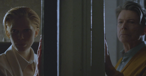 Artiesten Tv Gifs David bowie 