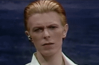 David Bowie GIF. Beroemdheden Artiesten Gifs David bowie De man die naar de aarde viel Seksuele frustratie Thomas newt 