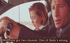 David Duchovny GIF. Xfiles Gifs Filmsterren David duchovny Mulder Gillian anderson Scully 
