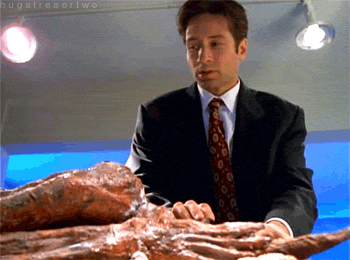 David Duchovny GIF. Gifs Filmsterren David duchovny 