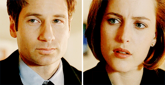 David Duchovny GIF. Proost Gifs Filmsterren David duchovny Reactie Fallontonight Jimmy fallon Toast 