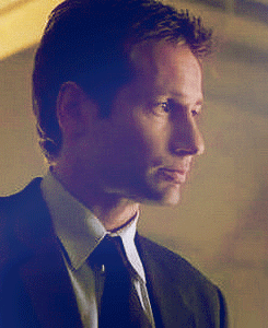 David Duchovny GIF. The x files Gifs Filmsterren David duchovny Mulder Gillian anderson Scully 