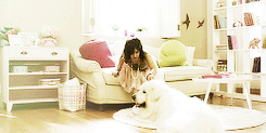 Honden GIF. Dieren Gifs Hond Zeeschildpad 