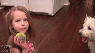 Dieren Gifs Hond kind tand trekt 