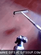Honden GIF. Dieren Gifs Hond Vrolijkheid 