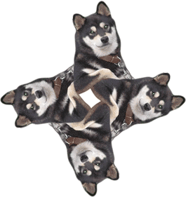 Honden GIF. Dieren Grappig Gifs Hond Mopshond 