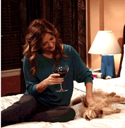 Honden GIF. Dieren Gifs Hond Oud 