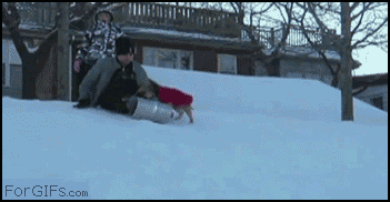 Dieren Voedsel Gifs Hond gluiperig 