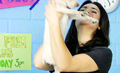 Honden GIF. Dieren Gifs Hond Vrolijkheid 