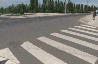 Dieren Gifs Hond laser been wijzer 