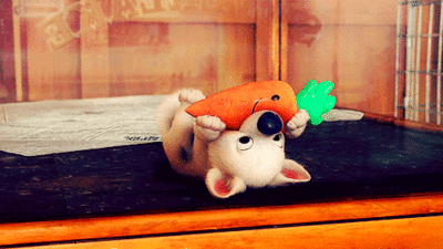 Dieren Sneeuw Gifs Hond staart kwispelen 