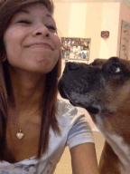 Honden GIF. Dieren Puppy Gifs Hond Pitbull 