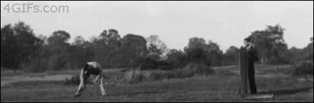 Dieren Gifs Hond jumping 