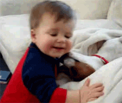 Honden GIF. Dieren Gifs Hond Vreemd 