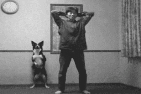 Dieren Schattig Gifs Hond opgewonden 