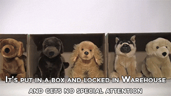 Dieren Gifs Hond laser been wijzer 