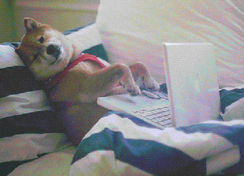 Dieren Gifs Hond Mopshond 