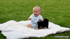 Honden GIF. Dieren Brand Gifs Hond Lus Jumping 