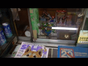 Dieren Gifs Hond oefening kraakpanden 