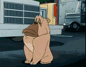 Honden GIF. Dieren Gifs Hond Mislukken Geslacht 