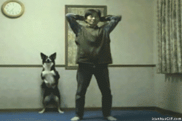 Dieren Gifs Hond oefening kraakpanden 