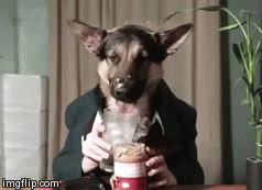 Dieren Puppy Gifs Hond 
